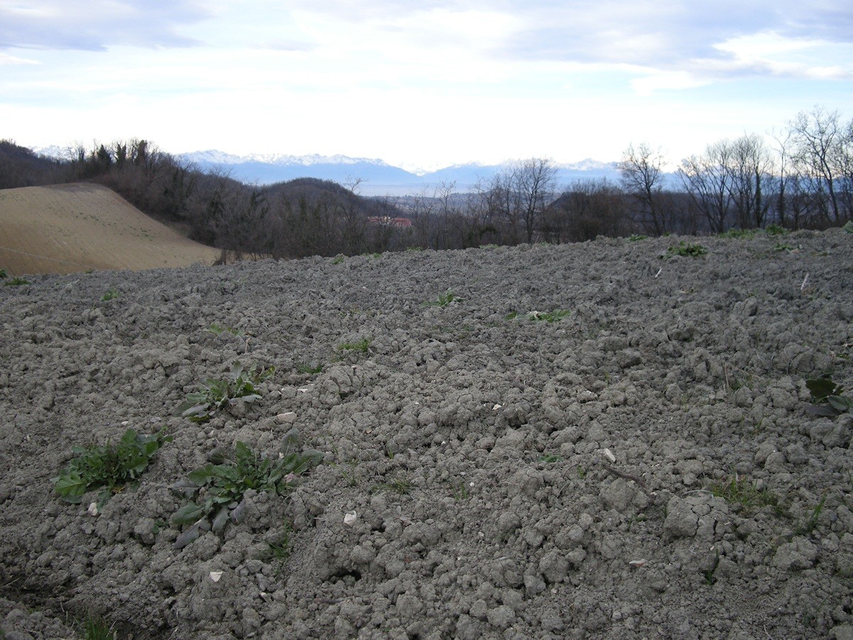 image6